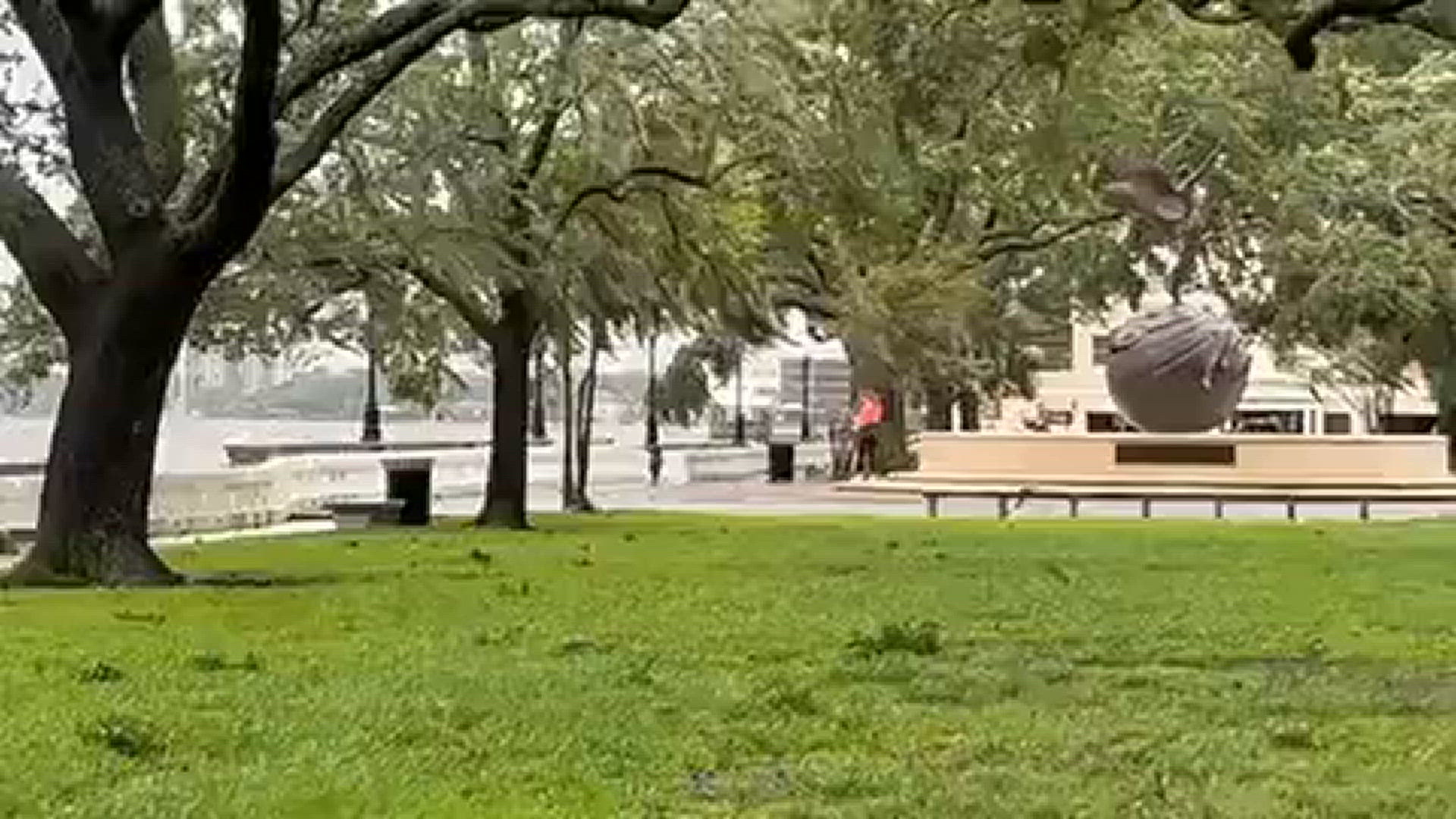 People come out to see Memorial Park in storm
Credit: Renata Di Gregorio